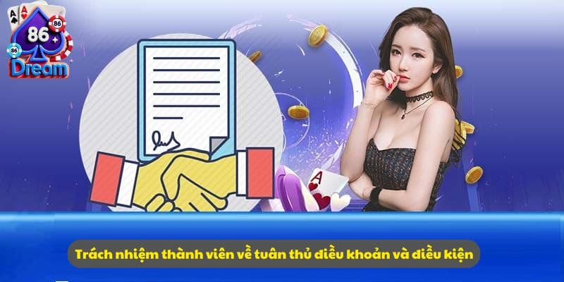 Điều khoản sử dụng 2 Người chơi Dream 86