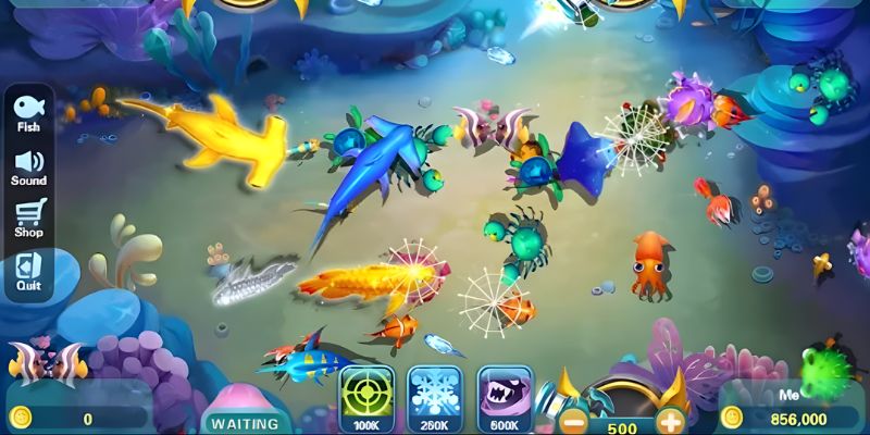 Tập trung vào các loại cá nhỏ trước để tích lũy điểm từ từ