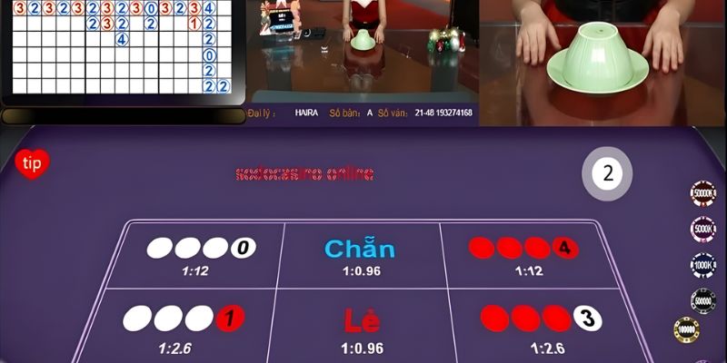 Cách chơi xóc đĩa - Mẹo đặt cược an toàn, thắng đậm 2 Tìm hiểu về cách chơi xóc đĩa cơ bản cho người mới